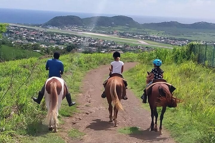 Horseback Ride in St Kitts, photo 4