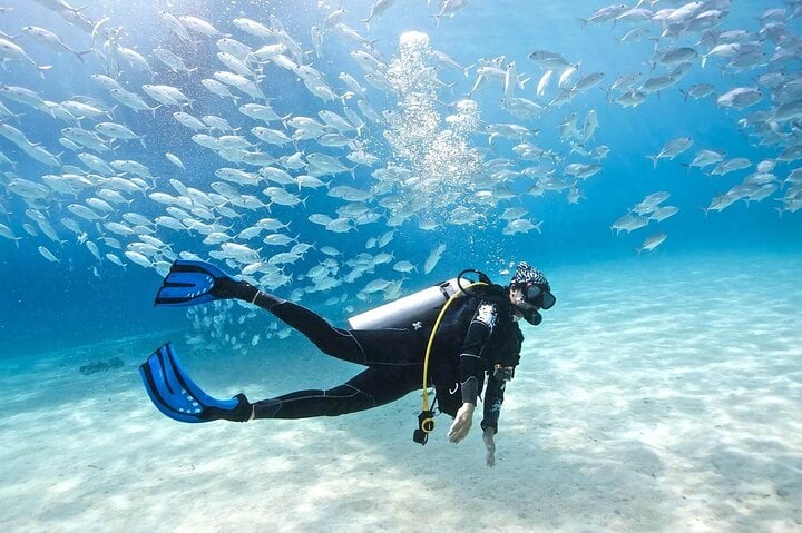 Ras Mohamed and White Island Diving in Sharm El Sheikh, photo 3