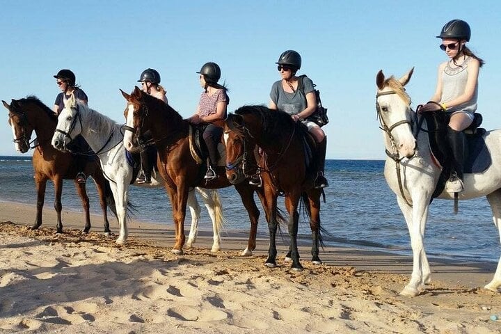 2-Hour Beach & Desert Horse Riding from Hurghada, photo 3