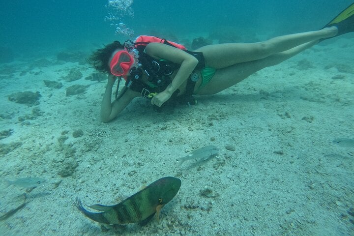 From Abu Dhabi: Try Diving and Snorkelling in Fujairah, photo 3