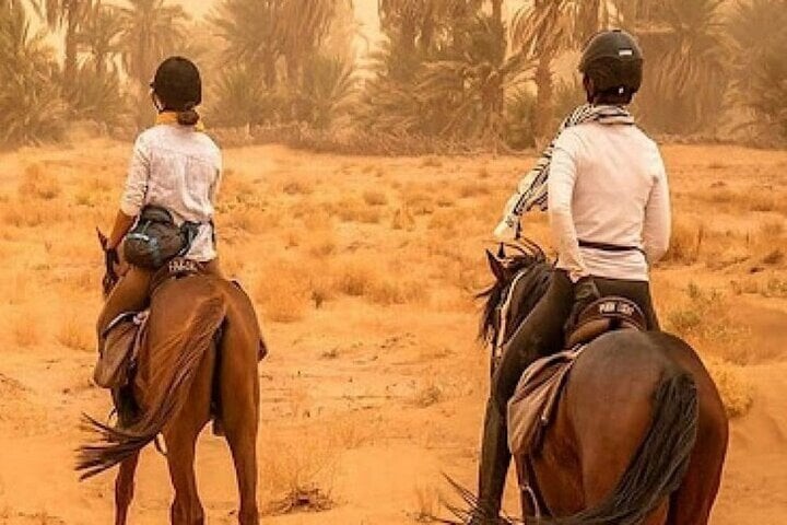 One Hour Horse Ride in the Palmeraie, photo 3