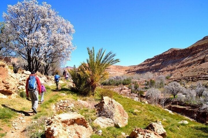 Private Atlas Village Hike in Marrakesh, photo 2