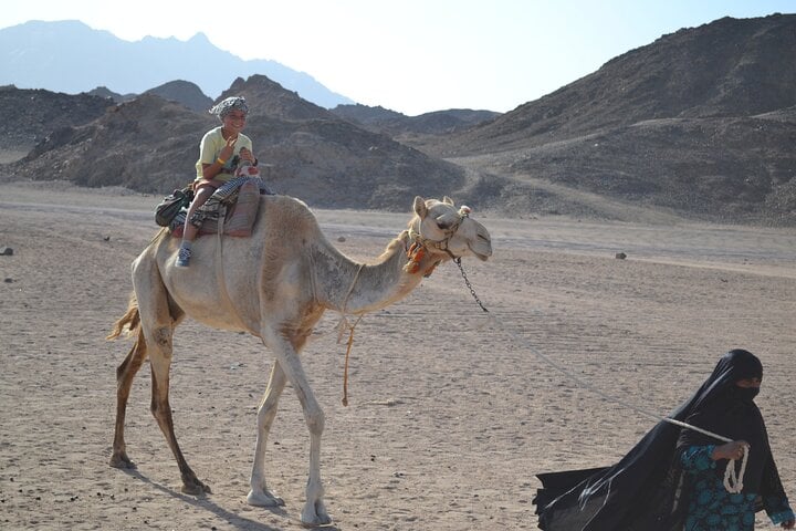 ATV and Camel Safari with Dinner in Marsa Alam, photo 5
