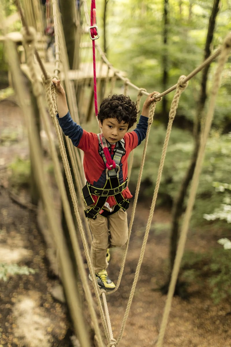 'Treetop Trek' High Ropes Adventure in Manchester, photo 2