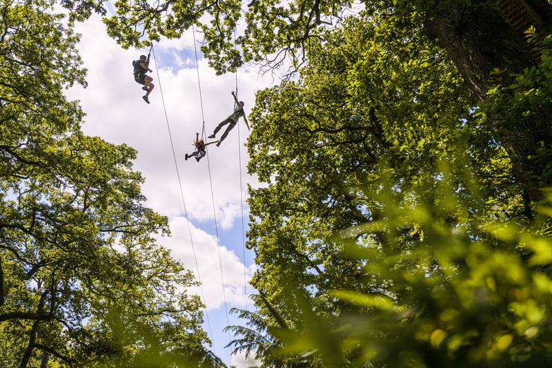 Climb and Zip in Windermere, photo 3