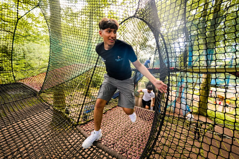 'Treetop Nets' Bouncy Treetop Adventure in Windermere, photo 3