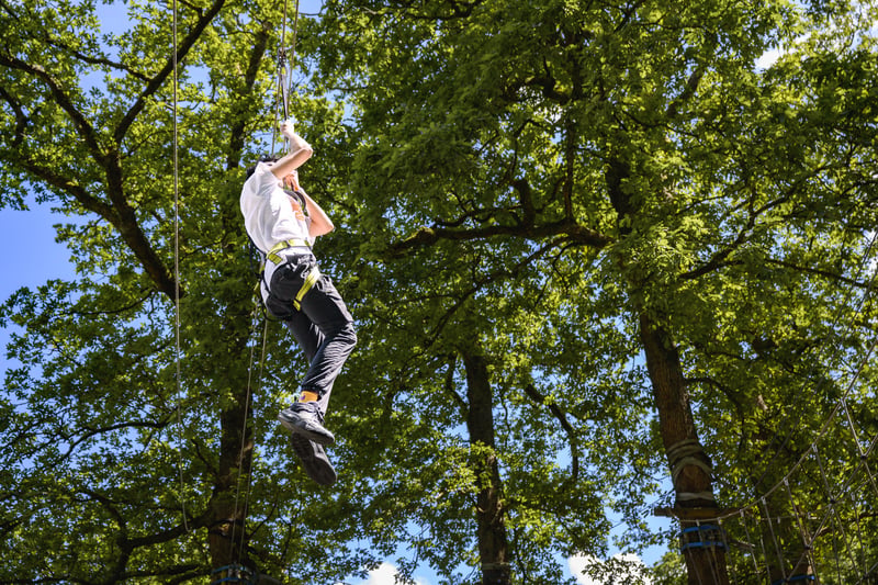 ‘Mini Trek’ Kids High Ropes Adventure in Windermere, photo 5