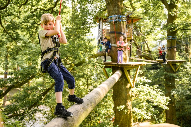 'Treetop Trek' High Ropes Adventure in Windermere, photo 2