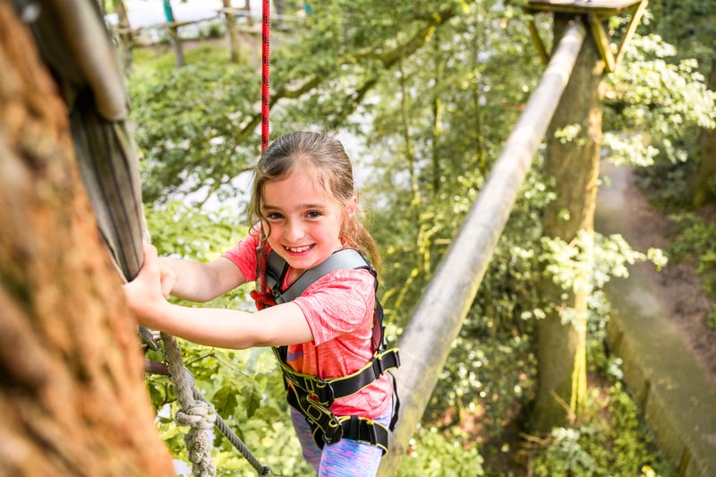 ‘Mini Trek’ Kids High Ropes Adventure in Manchester, photo 4