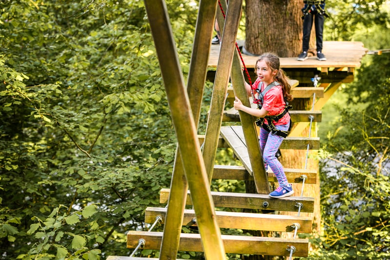 'Treetop Trek' High Ropes Adventure in Windermere, photo 3