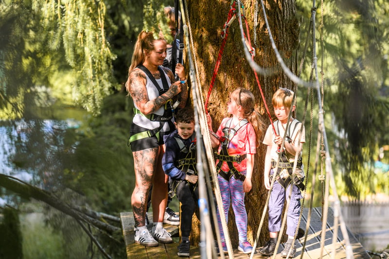 'Treetop Trek' High Ropes Adventure in Windermere, photo 4