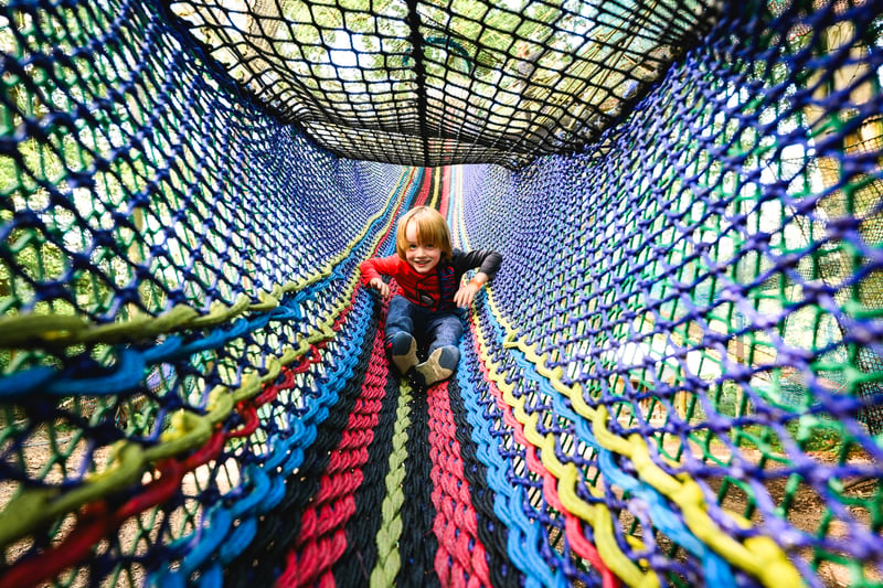 ‘Treetop Nets’ Bouncy Treetop Adventure in Manchester, photo 3