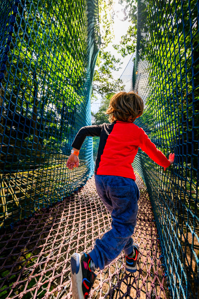 ‘Treetop Nets’ Bouncy Treetop Adventure in Manchester, photo 4