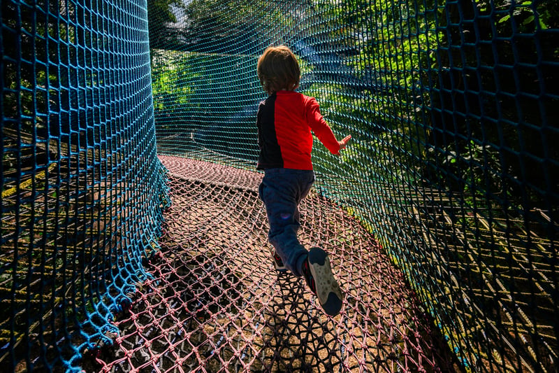 'Treetop Nets' Bouncy Treetop Adventure in Manchester, photo 2