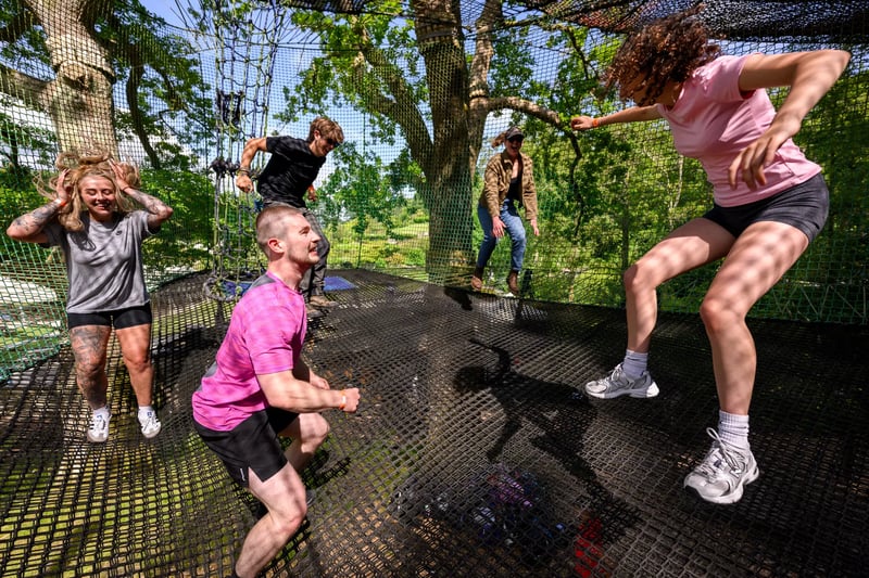 'Treetop Nets' Bouncy Treetop Adventure in Windermere, photo 2