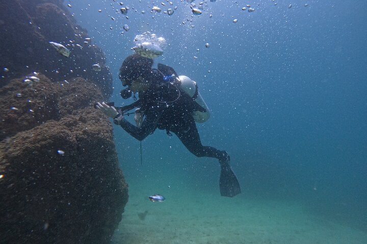Full Day: Three Certified Dives in Dibba Musandam, Oman, photo 2