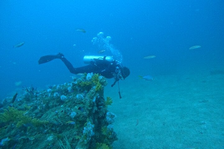 Full Day: Three Certified Dives in Dibba Musandam, Oman, photo 3