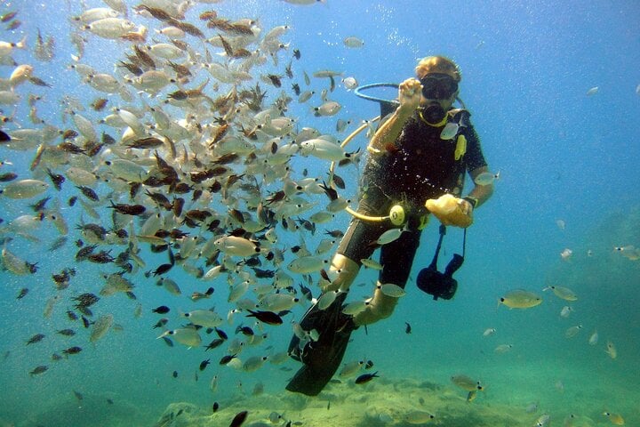 Scuba Diving Experience from Side, photo 5