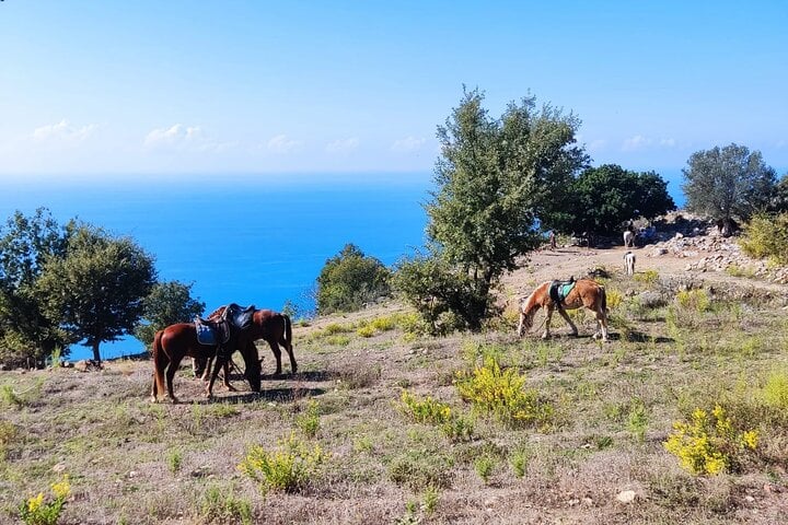 Horse Riding in the Taurus Mountains in Alanya, foto 3