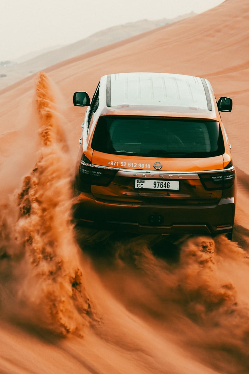 Half-Day Desert Safari with Dune Bashing and Camel Ride in Dubai, photo 5