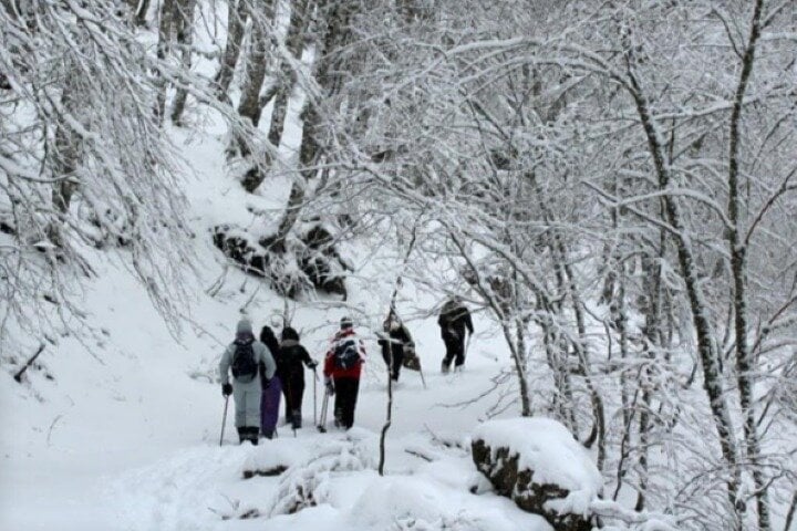 Snowshoeing in Pollino National Park, photo 3
