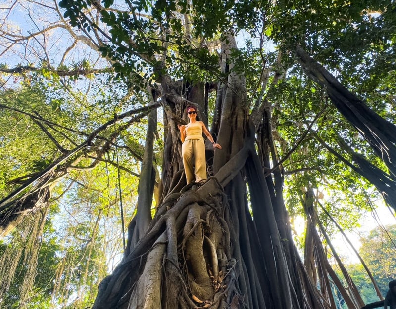5 Day Private Trek & Kayak Immersion in Leticia, photo 2