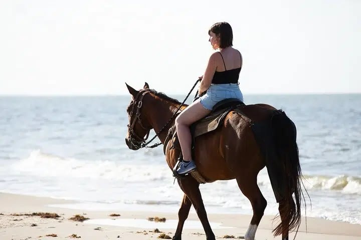 Horse Riding on the Beach with Transfer from Sharm El Sheikh, photo 5