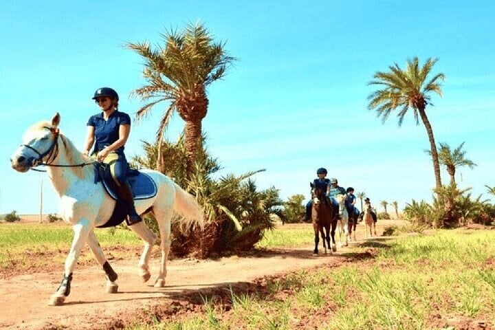 Two Hour Horse Ride in the Palmeraie, photo 2