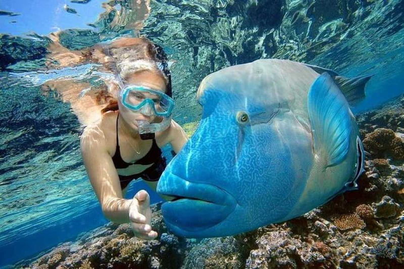 Sharm El Naga Bay Snorkelling in Hurghada, photo 4