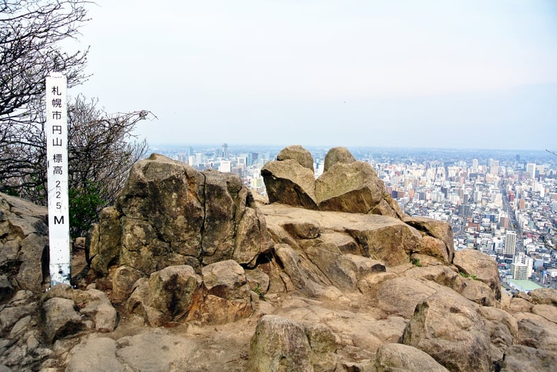 Mount Maruyama Guided Hike and Okurayama Views, photo 3