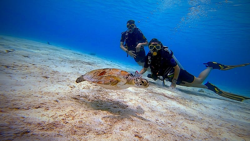 PADI Open Water Diver Course with E-Learning in Bonaire, photo 3