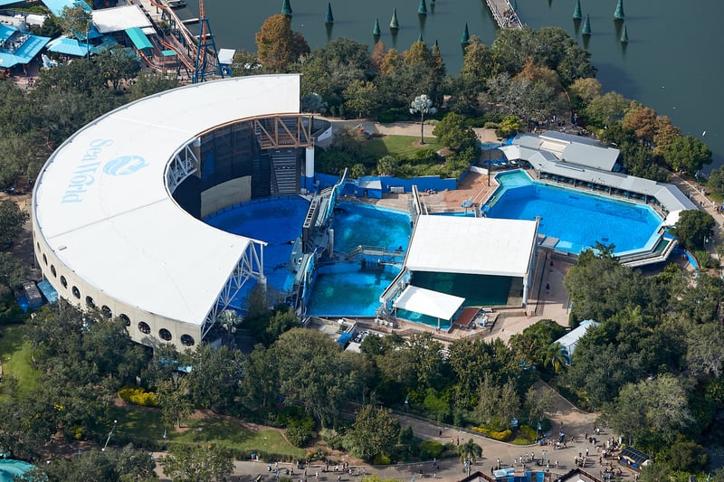 Daytime Theme Parks Helicopter Tour β 31 Miles, photo 3