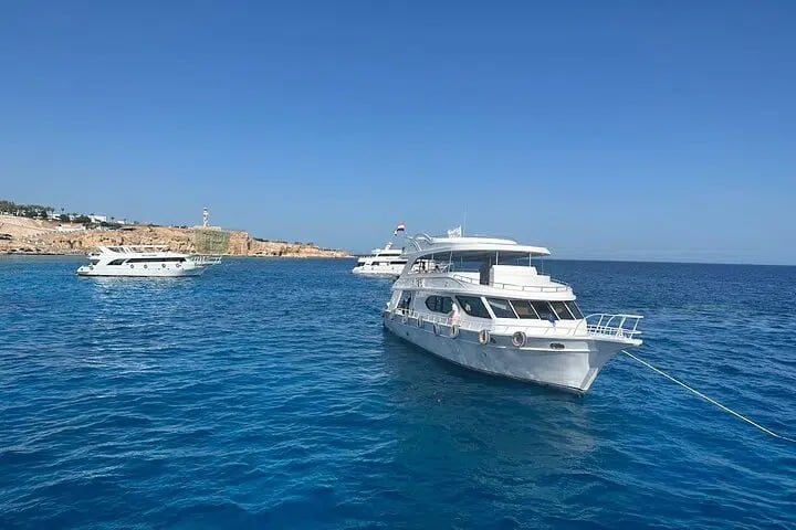 Ras Mohamed and White Island Snorkelling Trip from Sharm El Sheikh, photo 4