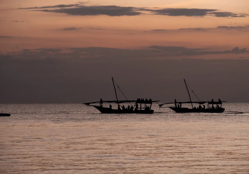 Sunset Cruise from Stone Town, photo 3