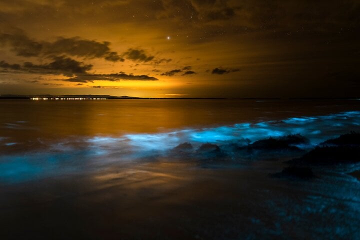 Bioluminescent Night Dive in Bonaire, photo 4