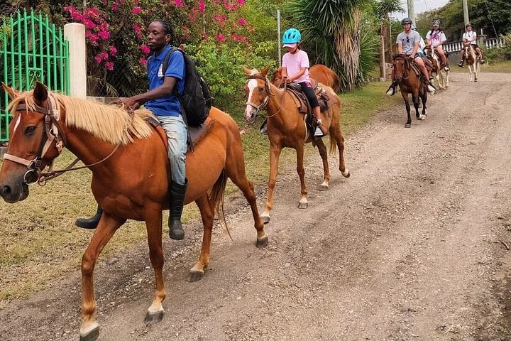 Horseback Ride in St Kitts, photo 5