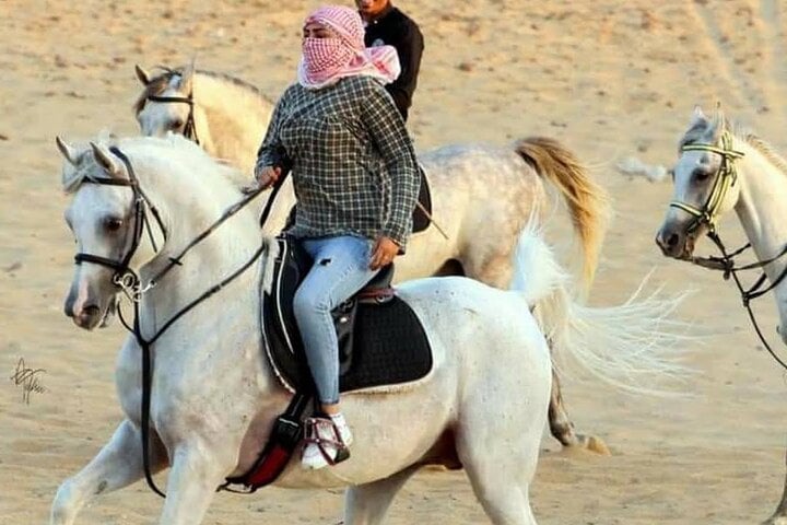 Desert Horse Ride in Sharm El Sheikh, photo 3