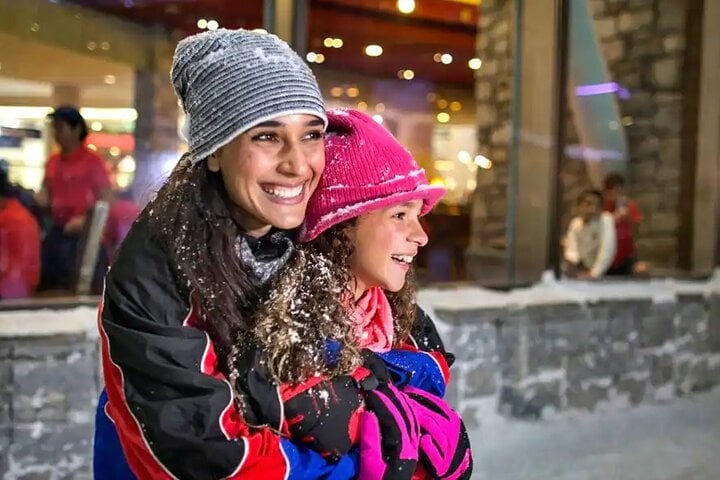 Ski Dubai Admission Tickets in Dubai, photo 5