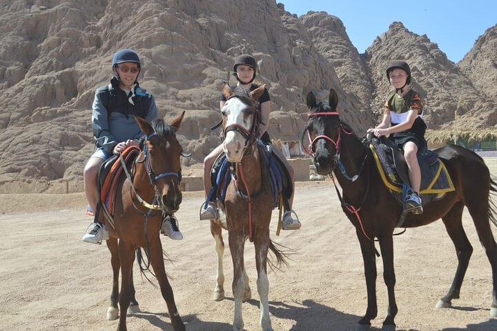 Desert Horse Ride in Sharm El Sheikh, photo 5