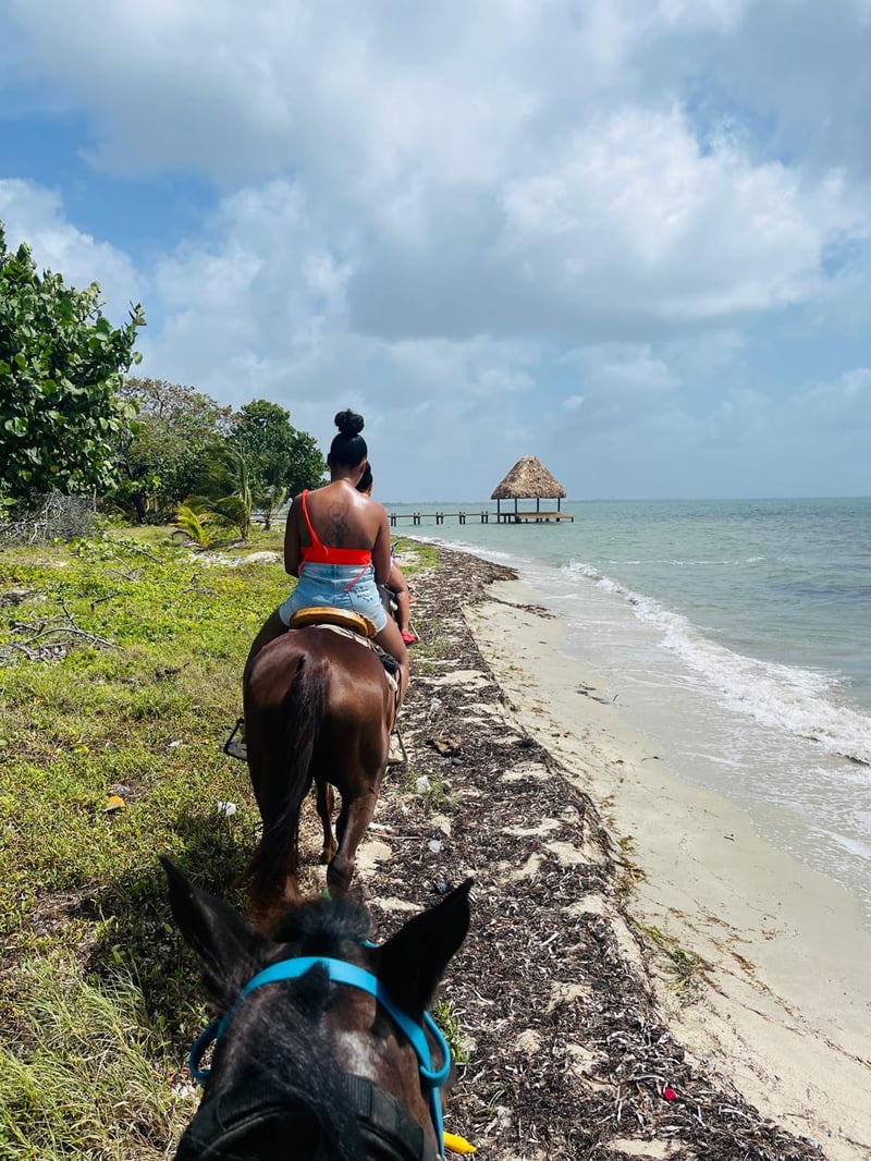 Beach Horseback Ride with Swim Stop in Placencia, photo 4