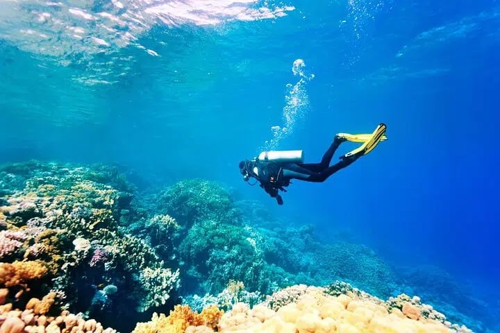Intro Beach Dive with Transfer from Sharm El Sheikh, photo 2