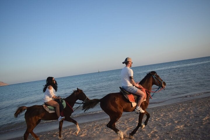 Desert and Sea Horse Ride in Soma Bay, photo 3