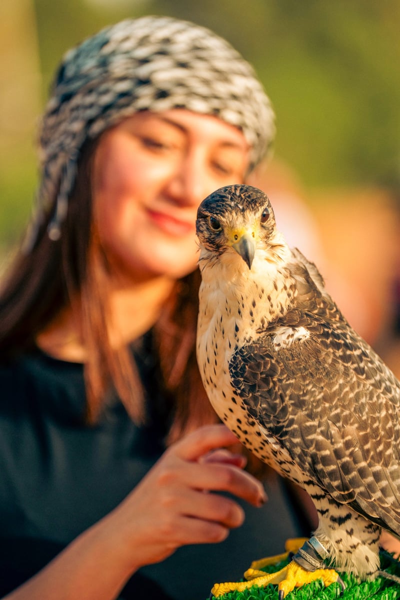 Premium VIP Evening Desert Safari with Falcon Experience in Dubai, photo 5