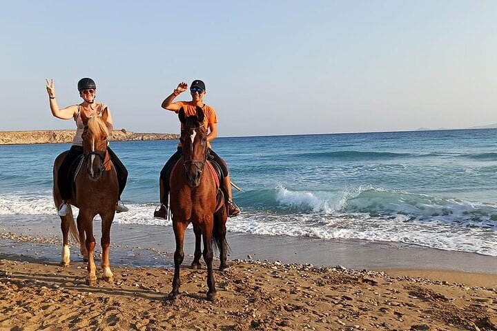 3-Hour Swim with Horses Experience in Hurghada, photo 3