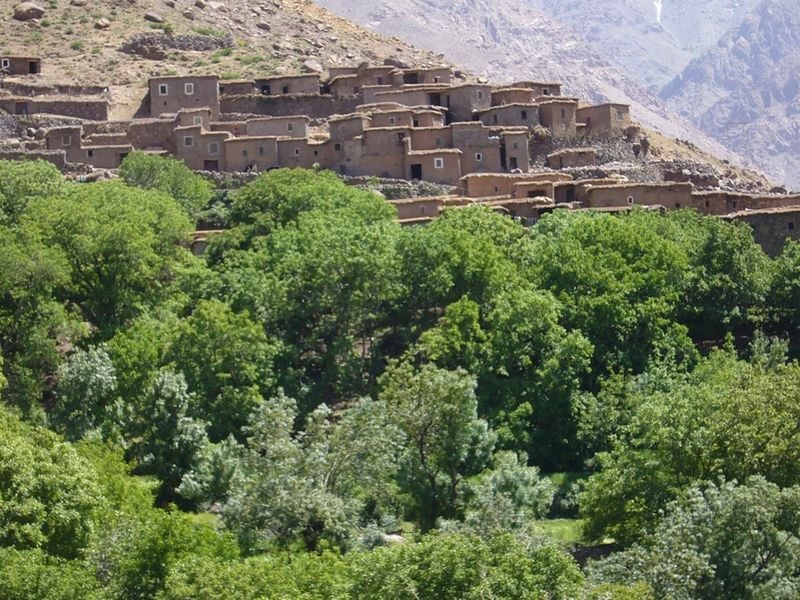 Guided Trek in Zat Valley, photo 3