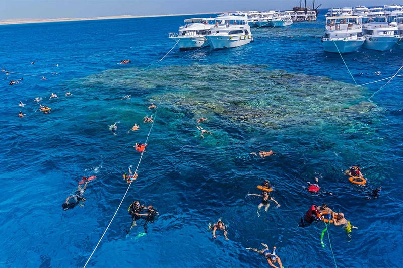 Ras Mohamed Snorkelling by Boat in Sharm El Sheikh, photo 4