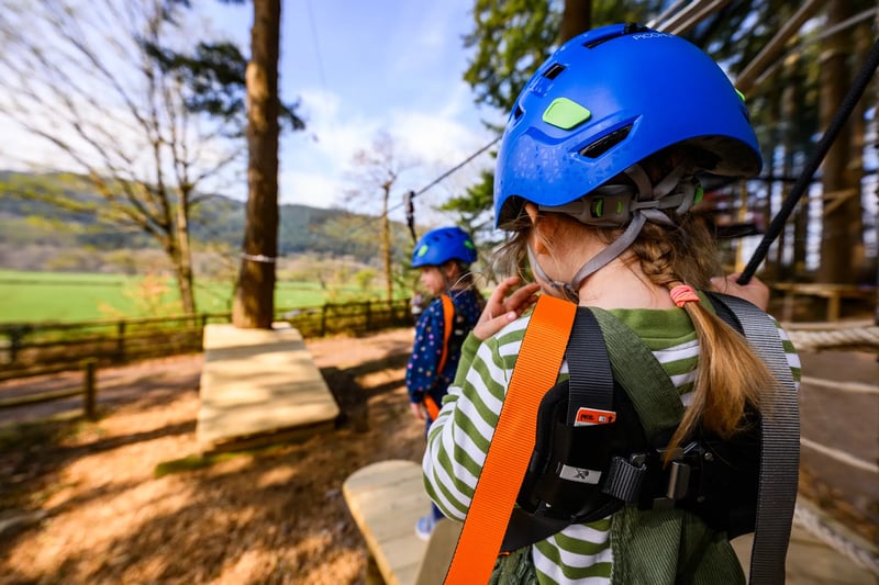 'Tiny Trek' Kids Adventure Course in Betws y Coed, photo 3