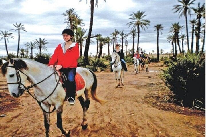 One Hour Horse Ride in the Palmeraie, photo 2