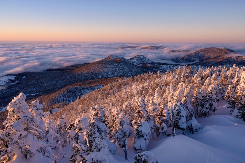 Ski Tour Package from Nagano, photo 5