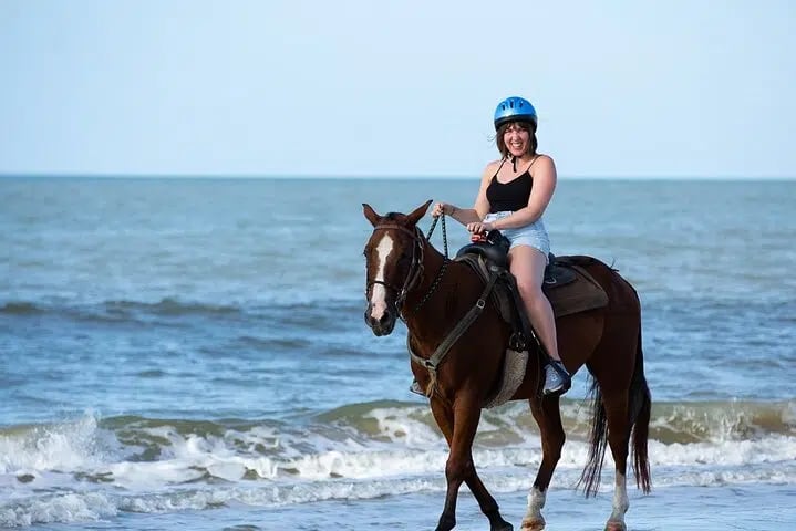 Horse Riding on the Beach with Transfer from Sharm El Sheikh, photo 3